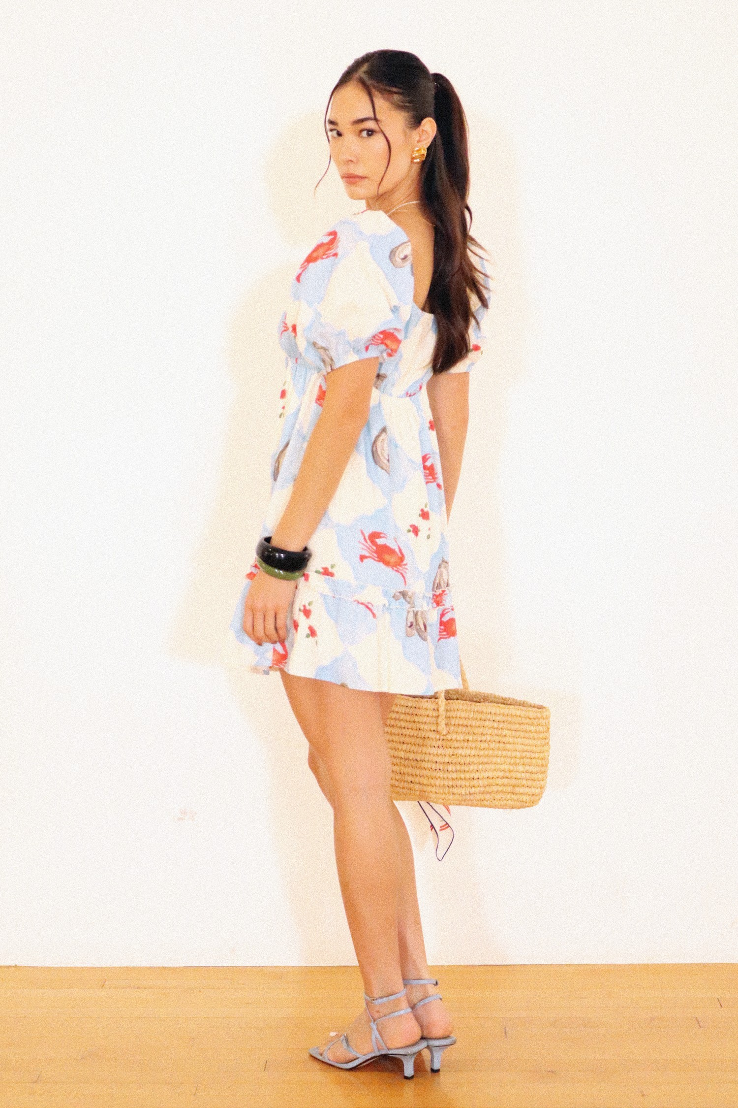 Picnic Puff Sleeve Dress