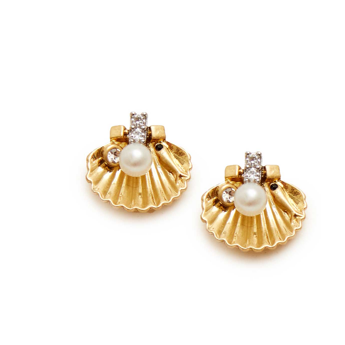 Scallop Stud Earrings