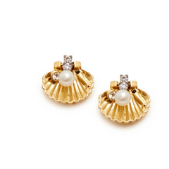 Scallop Stud Earrings