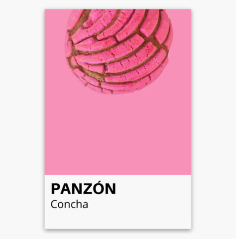 Panzón Sticker- Concha